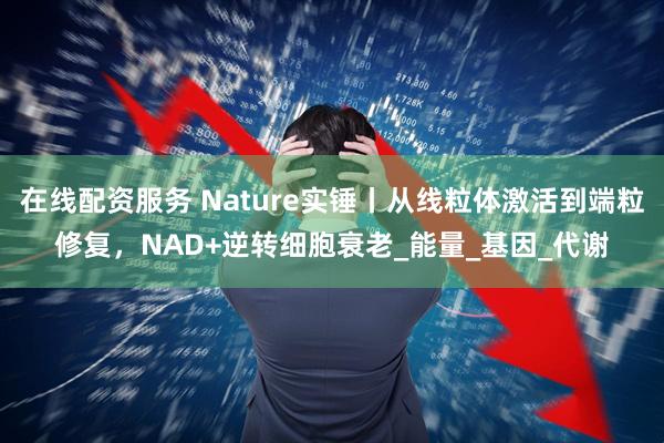 在线配资服务 Nature实锤丨从线粒体激活到端粒修复，NAD+逆转细胞衰老_能量_基因_代谢